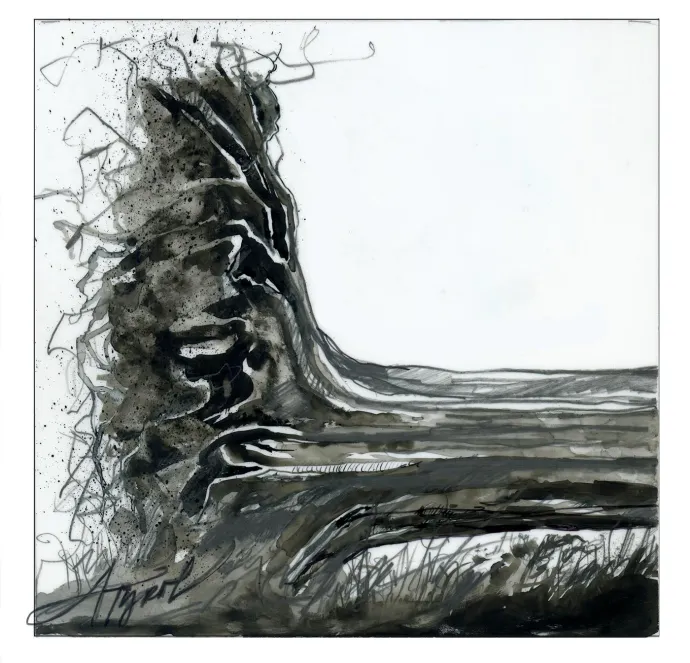 Fallen trees