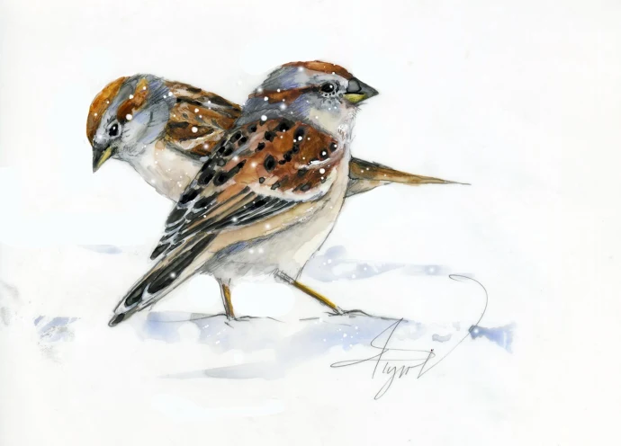 Tree sparrows
