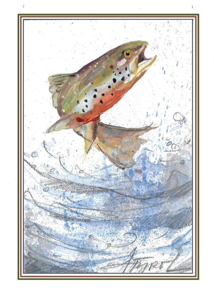 Trout