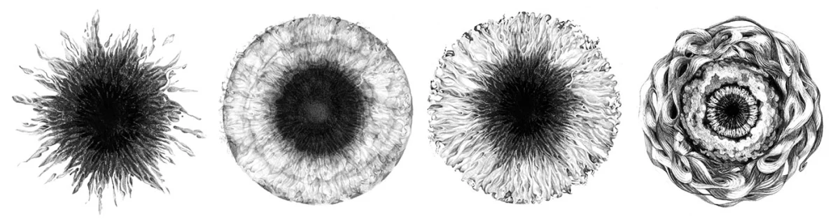 Art collage