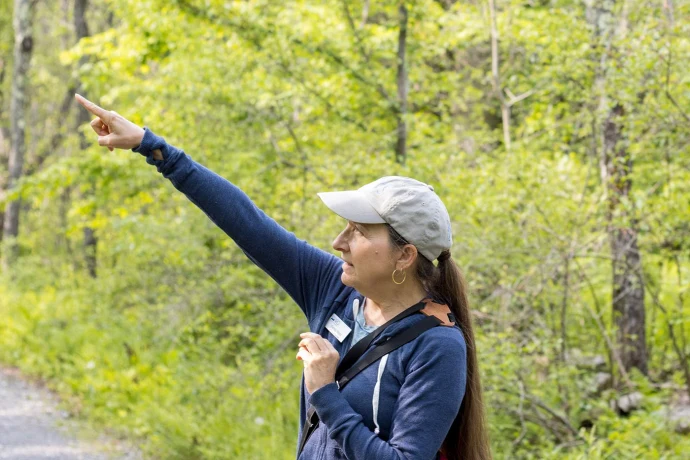 Bird walk