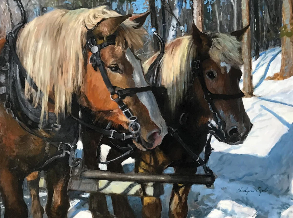 Horselogging