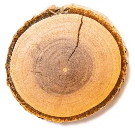 Wood cookie thumbnail