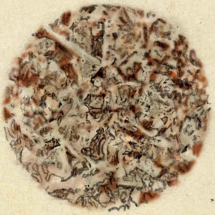 Wood pulp