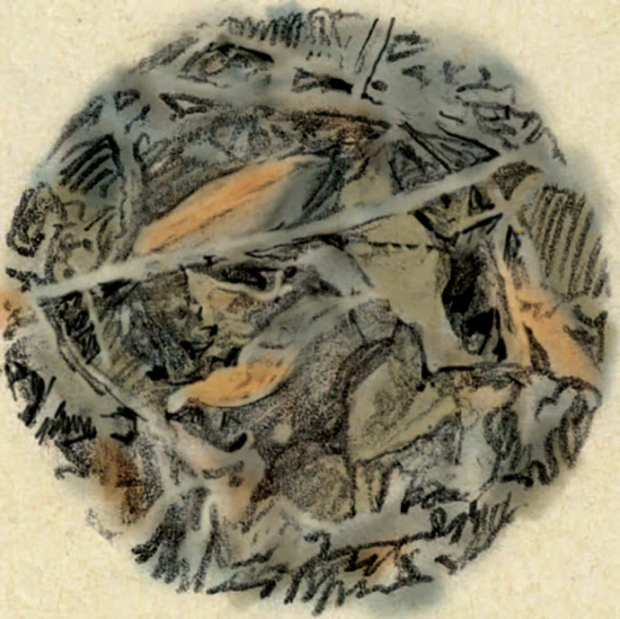 Woody debris
