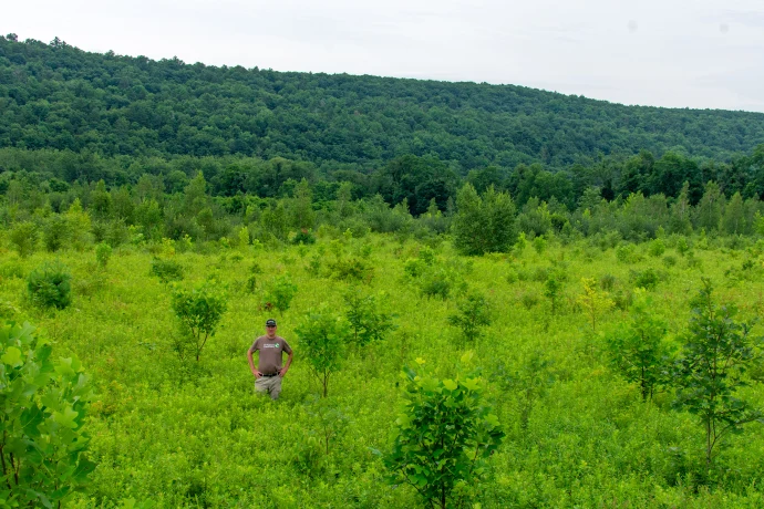 Neversink preserve