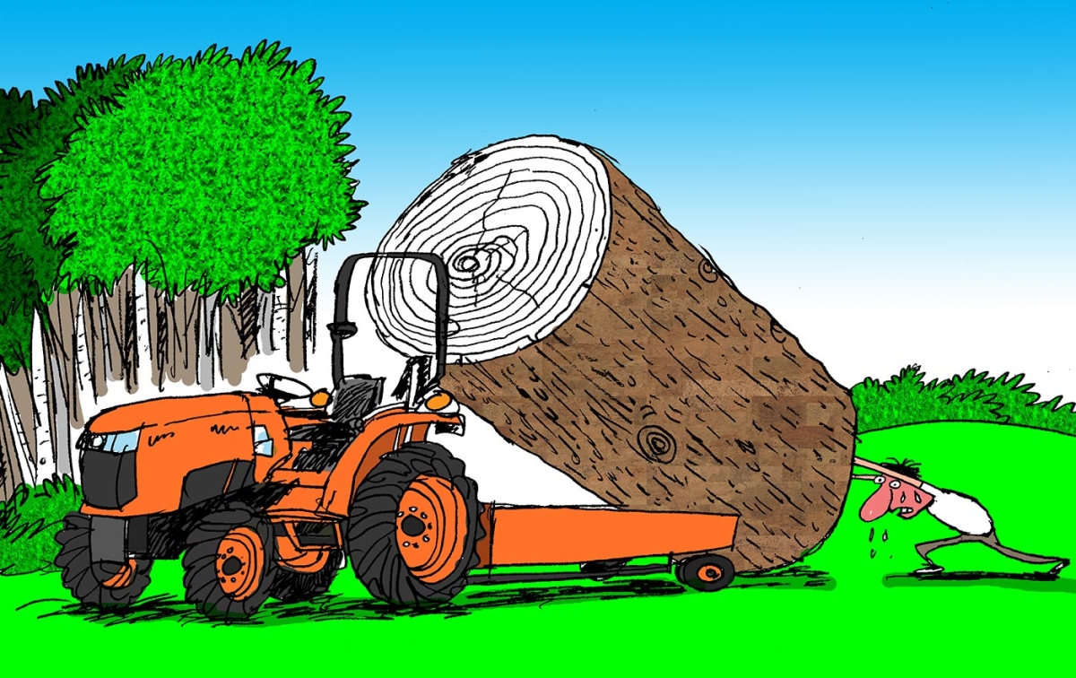 Musings of a Firewood Aficionado by Joe Rankin | Winter 2019 Issue