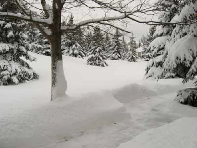 09-12-11_Winter-Storm.jpg