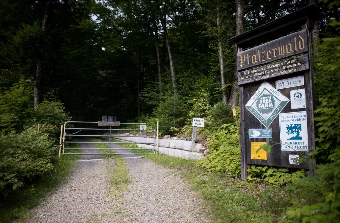 Forest entrance