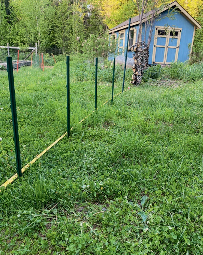1-wattle-fence-building-area.jpg