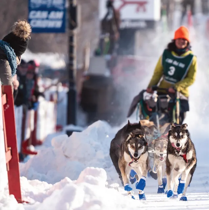 Dogsled