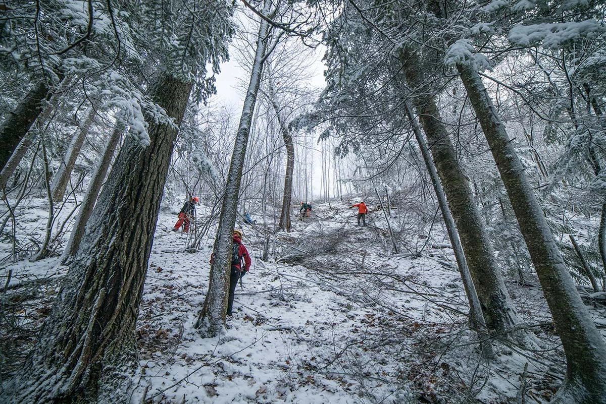 Woods workers