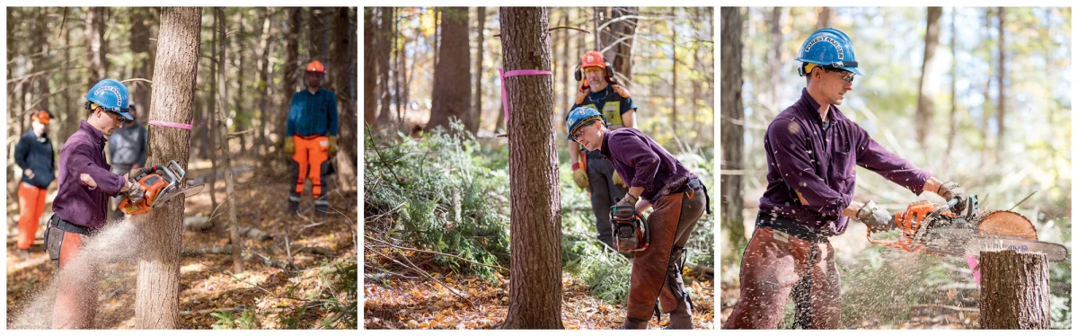 11-13-forester-cuts-collage.jpg