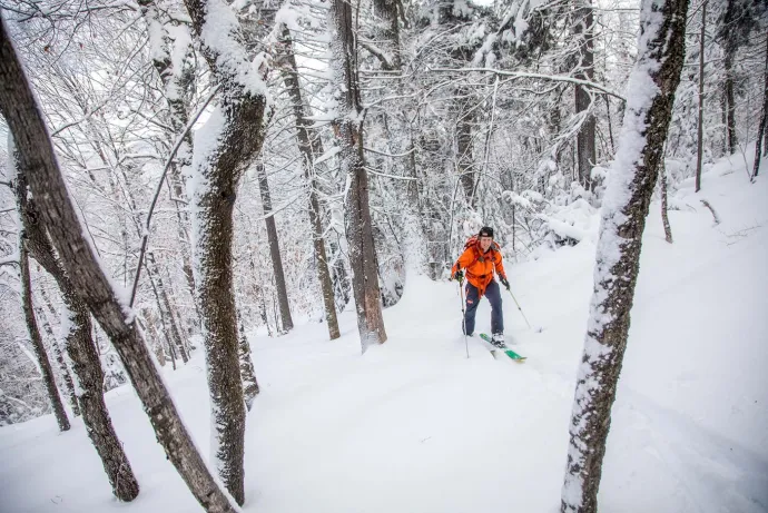 Skinning up