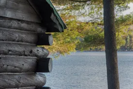 Log Building thumbnail