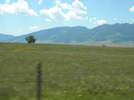 1openingshot.jpg thumbnail