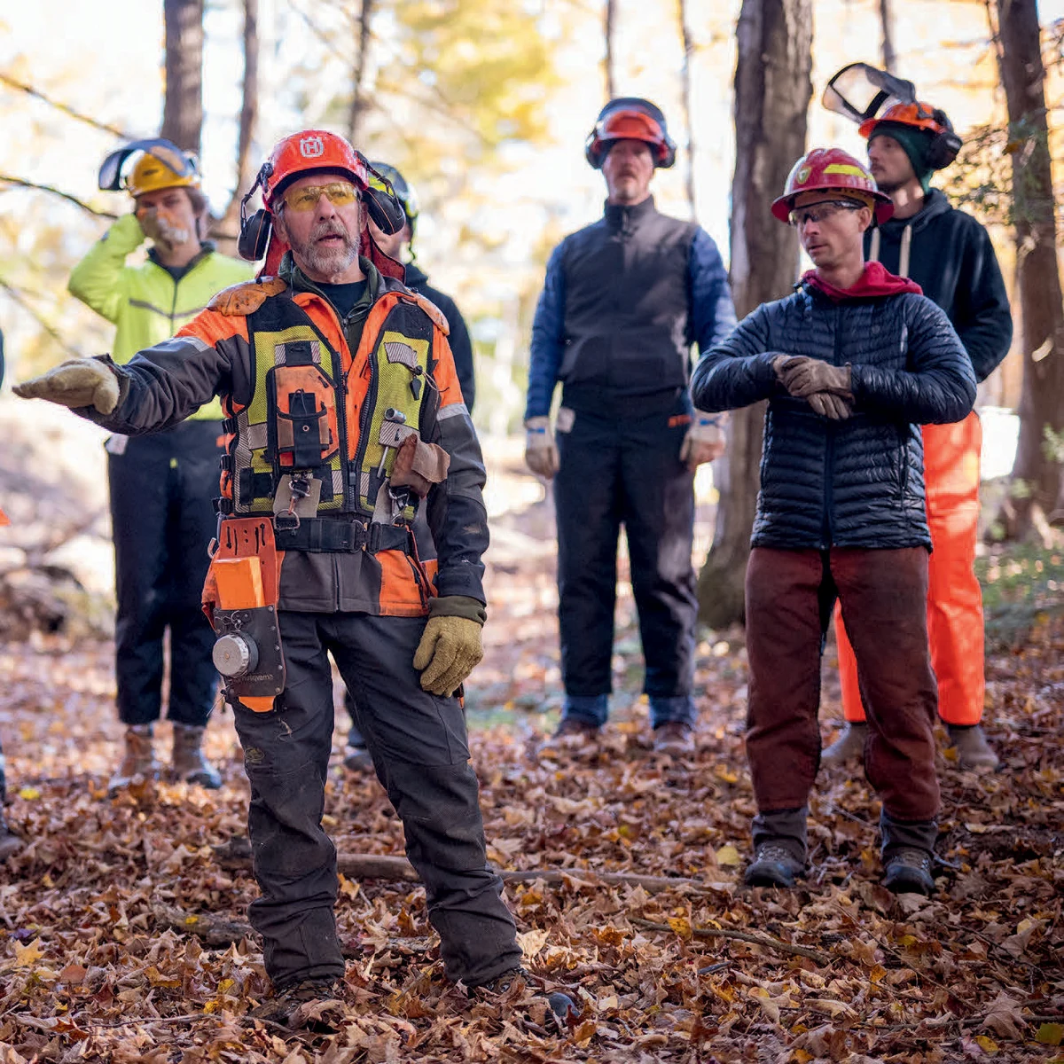 Discussing logging