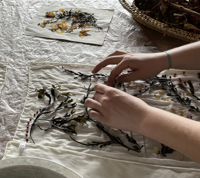 Seaweed design