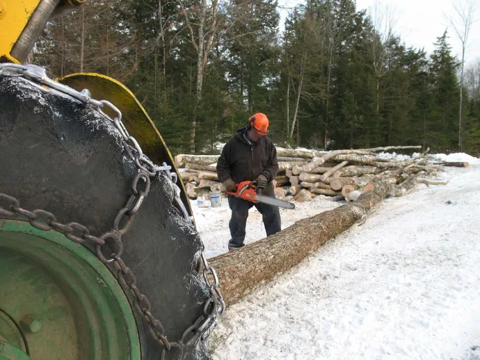 Peter Pfeiffer Skidder