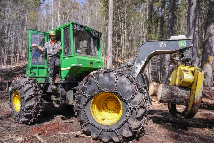 Forest logging