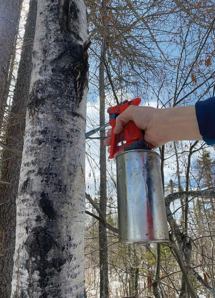 Tree marking
