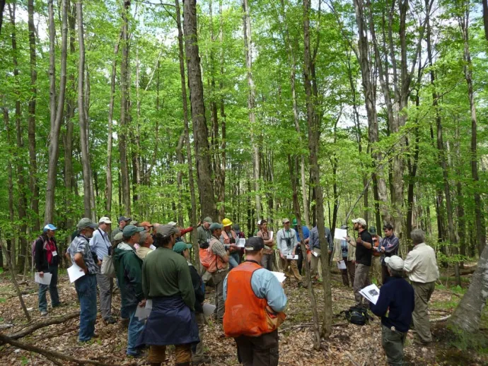 Forest tour