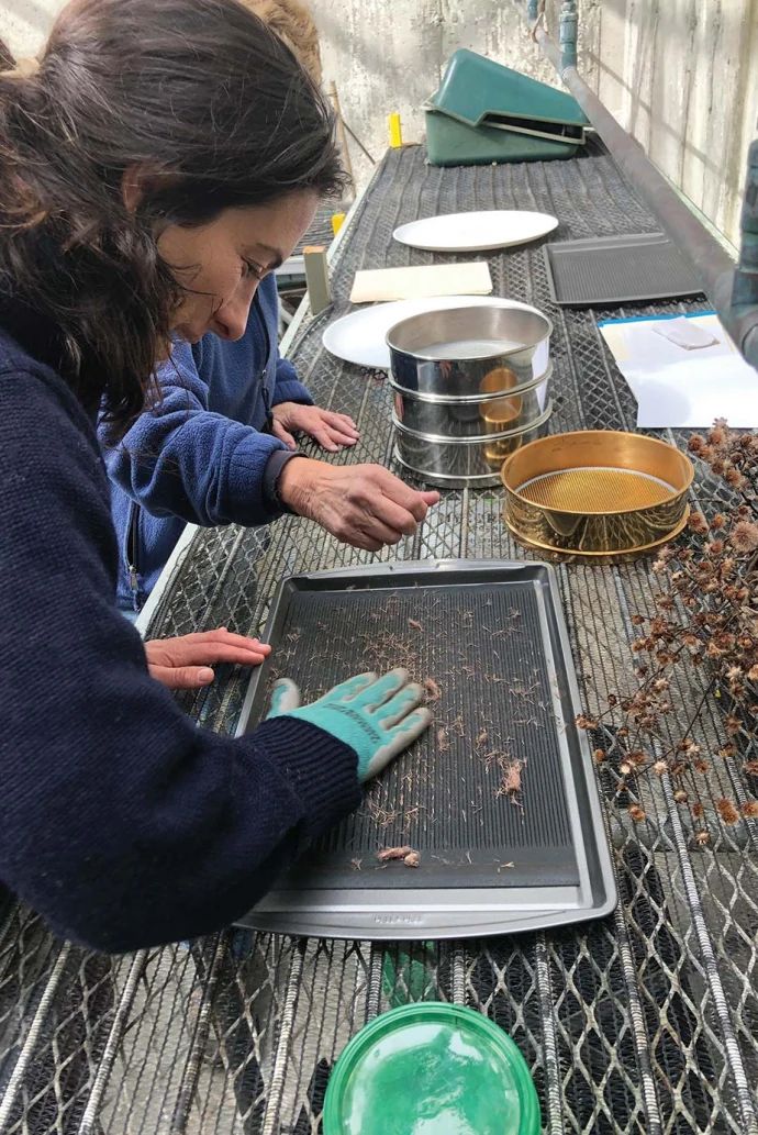 Seed starting