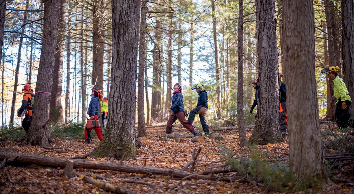 Logging education