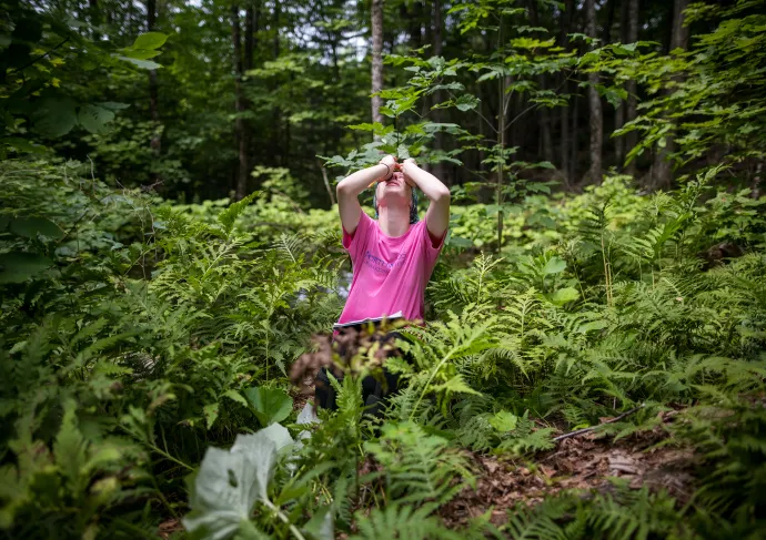 Measuring trees