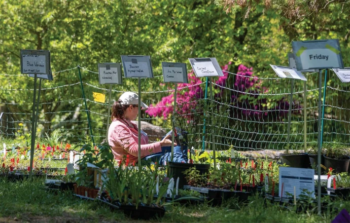 Plant sale