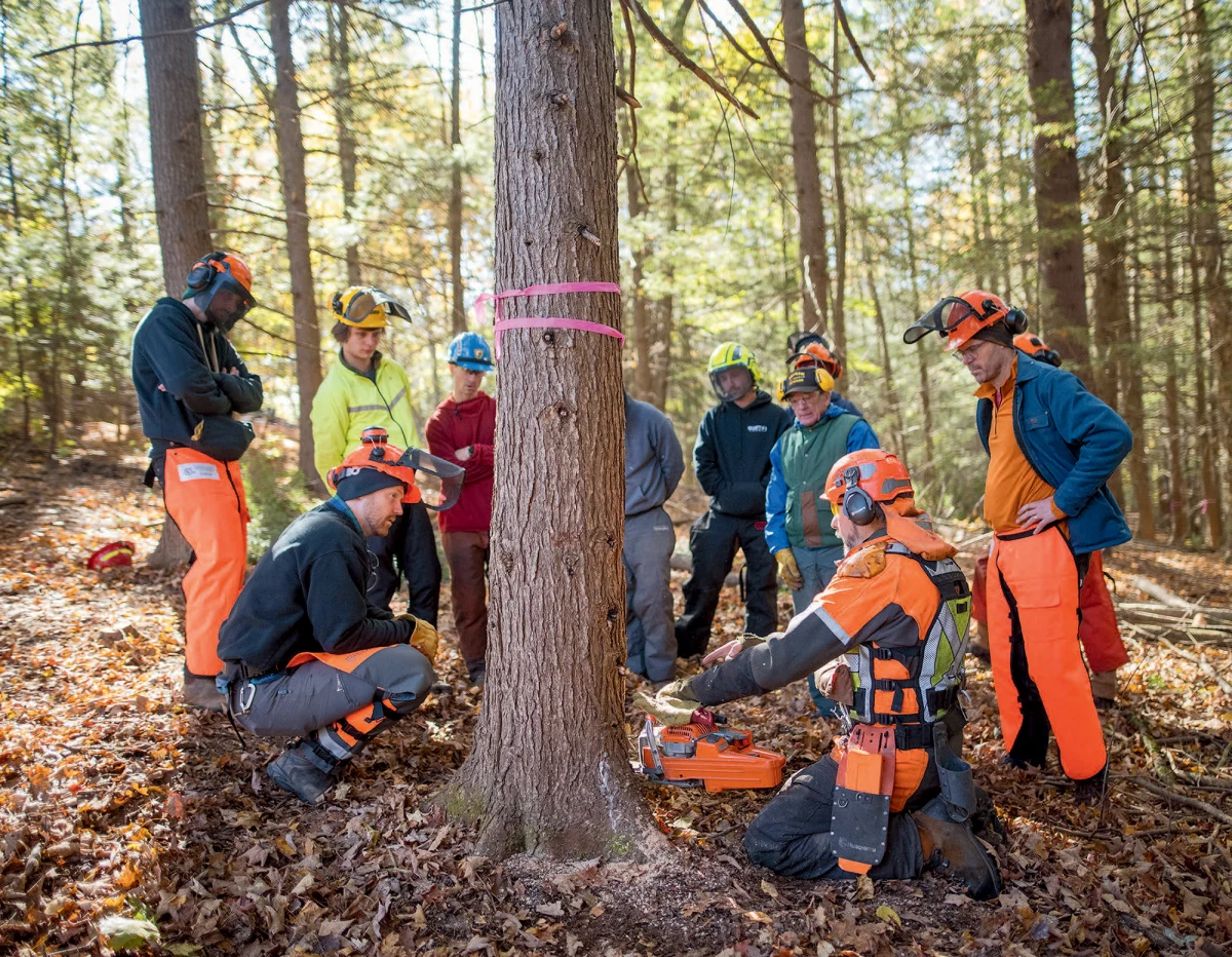 Logging education