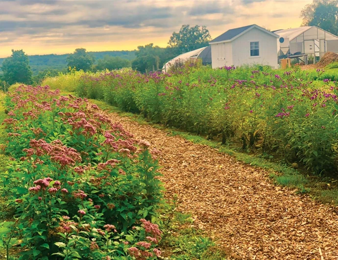 Organic farm