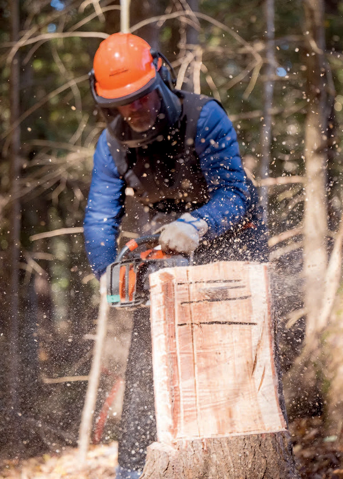 Stump work