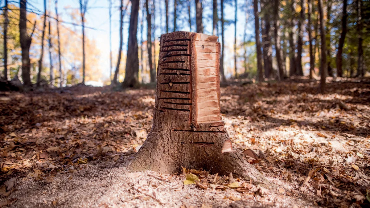 Stump work