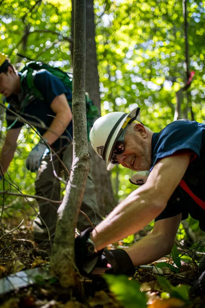 Wood cutting