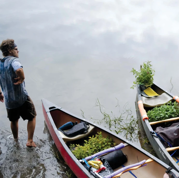 Boatanicals