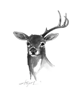 Antlers.jpg thumbnail