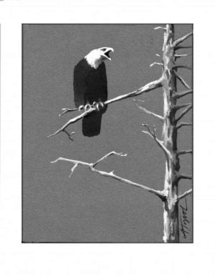 Bald_eagles.jpg