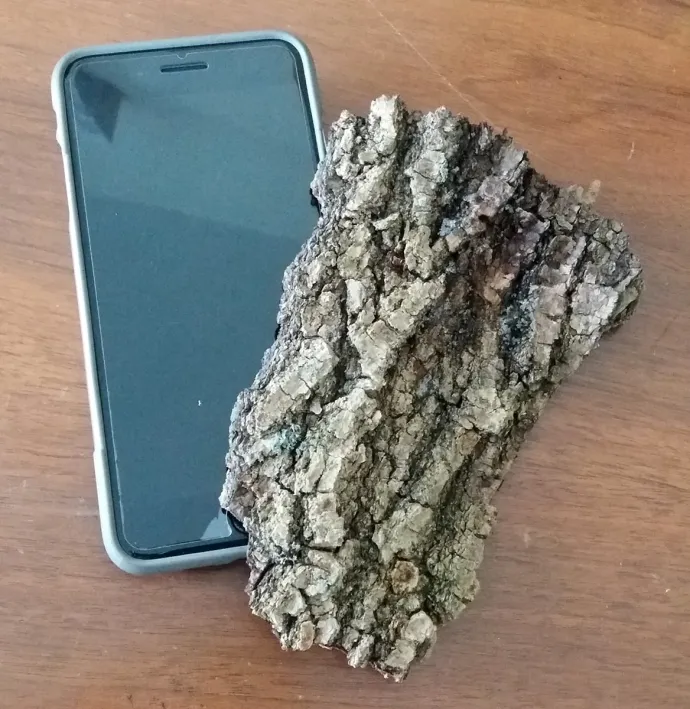 Cell Phone and Bark