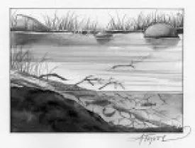 Battenkill_thumb.jpg thumbnail