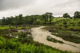 Doolittle Creek Flood thumbnail
