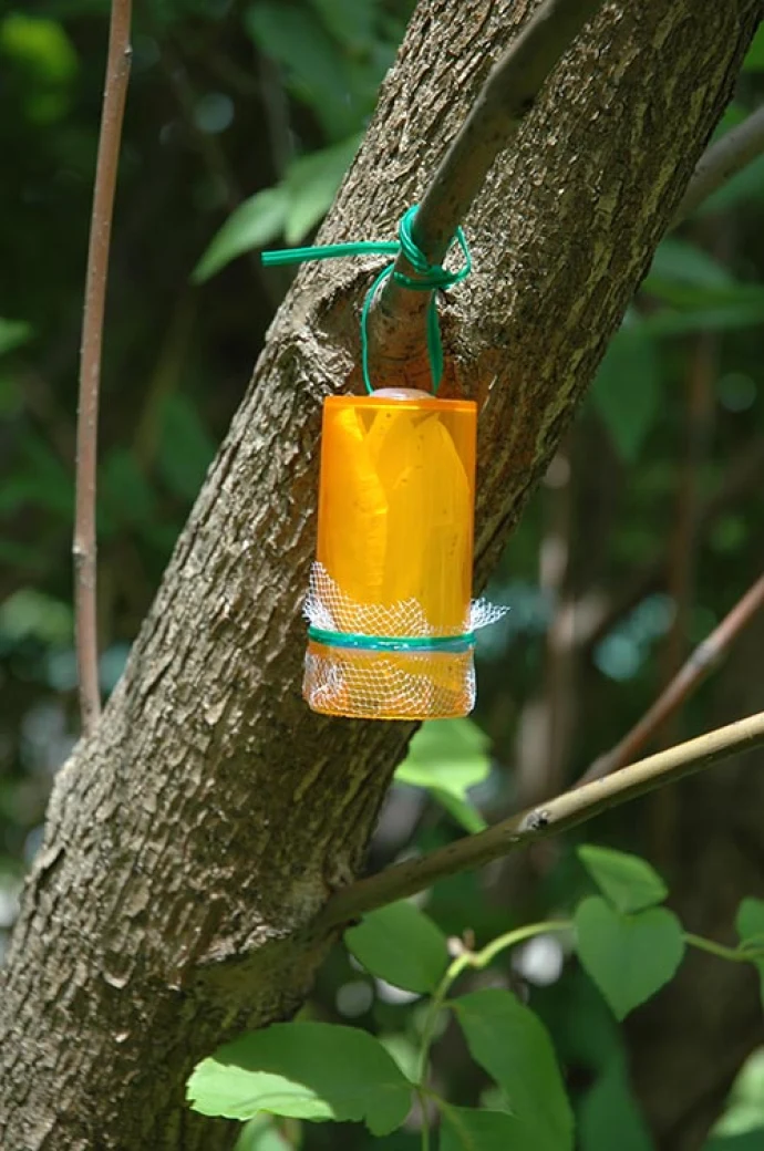 Biocontrol_2.jpg