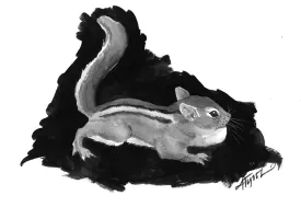 Chipmunk.jpg thumbnail