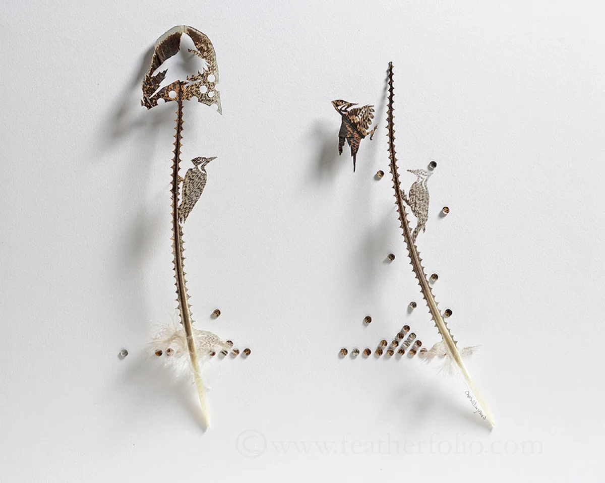 Feathers 3