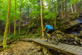 Community_Forest_1.jpg thumbnail