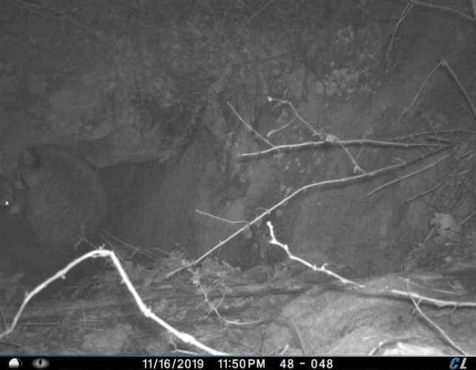 Crevice 2
