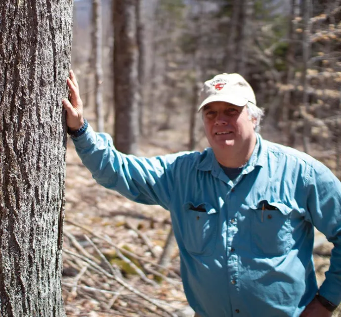 Woodlands director