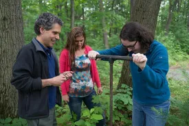 DiscoveriesFirewood.jpg thumbnail