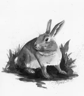 Eastern_cottontail.jpg thumbnail