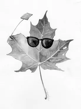 Foliage.jpg thumbnail